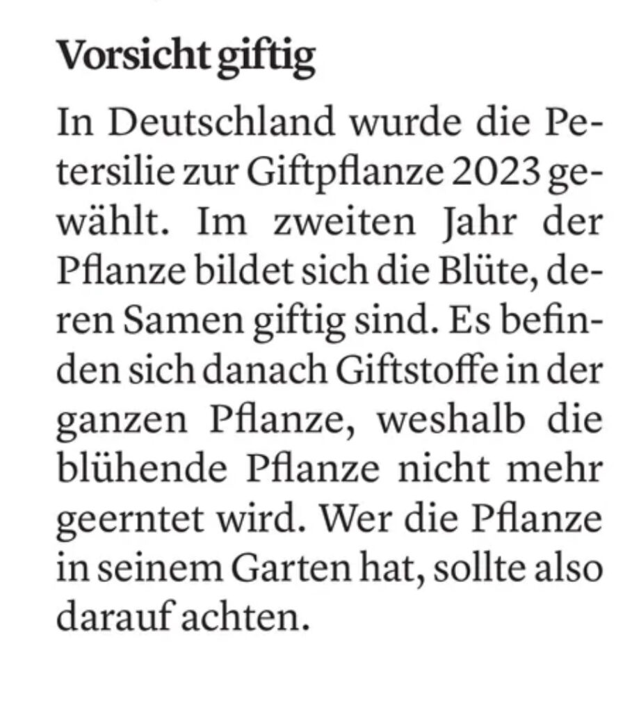 Zeitungsausschnitt